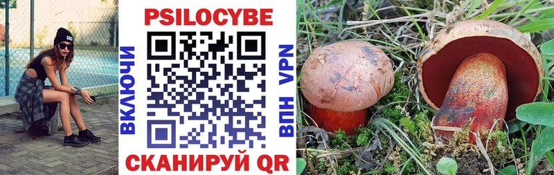 Галлюциногенные грибы мухоморы наркотики Каргополь
